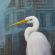 Zilverreiger, Ardea alba