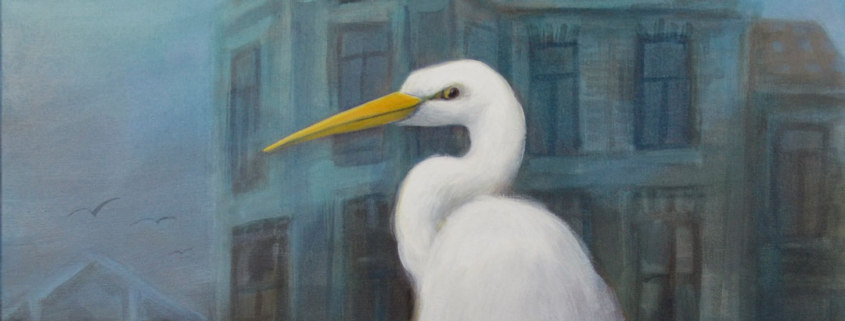 Zilverreiger, Ardea alba